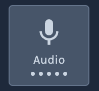 Audio selection status